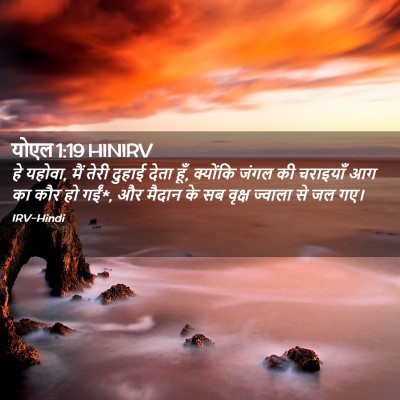 Picture 02 - योएल 1:19 HINIRV - हे यहोवा, मैं तेरी - Bible Verse Picture