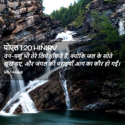 Picture 02 - योएल 1:20 HINIRV - वन-पशु भी तेरे लिये - Bible Verse Picture
