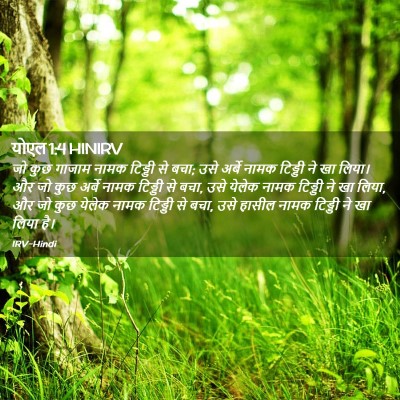 Picture 02 - योएल 1:4 HINIRV - जो कुछ गाजाम नामक - Bible Verse Picture