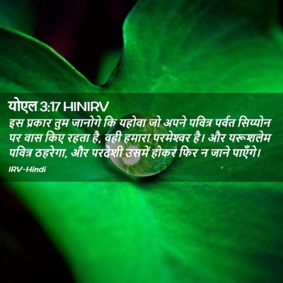 Picture 02 - योएल 3:17 HINIRV - इस प्रकार तुम - Bible Verse Picture