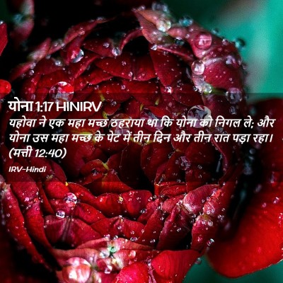 Picture 02 - योना 1:17 HINIRV - यहोवा ने एक महा - Bible Verse Picture