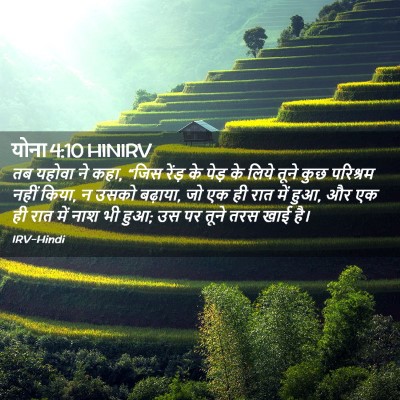 Picture 02 - योना 4:10 HINIRV - तब यहोवा ने कहा, - Bible Verse Picture