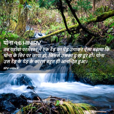 Picture 02 - योना 4:6 HINIRV - तब यहोवा - Bible Verse Picture