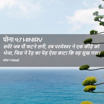 Picture 02 - योना 4:7 HINIRV - सवेरे जब पौ फटने - Bible Verse Picture