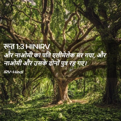 Picture 02 - रूत 1:3 HINIRV - और नाओमी का पति - Bible Verse Picture