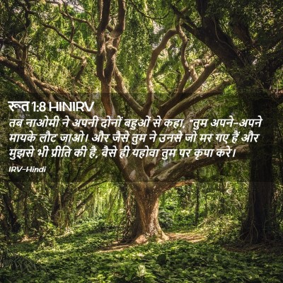 Picture 02 - रूत 1:8 HINIRV - तब नाओमी ने अपनी - Bible Verse Picture