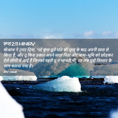 Picture 02 - रूत 2:11 HINIRV - बोआज ने उत्तर दिया, - Bible Verse Picture