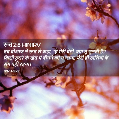 Picture 02 - रूत 2:8 HINIRV - तब बोआज ने रूत से - Bible Verse Picture