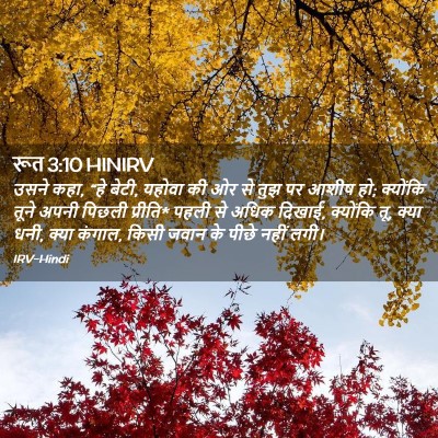 Picture 02 - रूत 3:10 HINIRV - उसने कहा, “हे बेटी, - Bible Verse Picture
