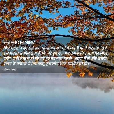 Picture 02 - रूत 4:10 HINIRV - फिर महलोन की - Bible Verse Picture