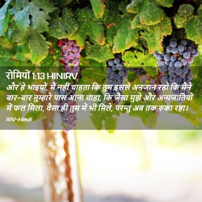 Picture 02 - रोमियों 1:13 HINIRV - और हे भाइयों, मैं - Bible Verse Picture