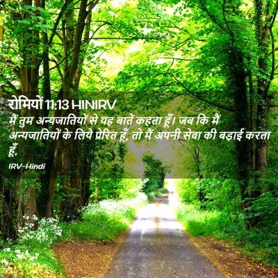Picture 02 - रोमियों 11:13 HINIRV - मैं तुम - Bible Verse Picture