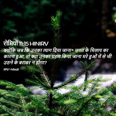 Picture 02 - रोमियों 11:15 HINIRV - क्योंकि जब कि उनका - Bible Verse Picture