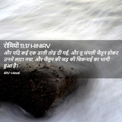 Picture 02 - रोमियों 11:17 HINIRV - और यदि कई एक डाली - Bible Verse Picture