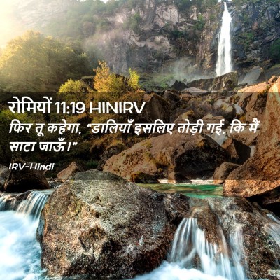Picture 02 - रोमियों 11:19 HINIRV - फिर तू कहेगा, - Bible Verse Picture