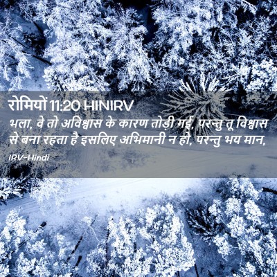Picture 02 - रोमियों 11:20 HINIRV - भला, वे तो अविश्वास - Bible Verse Picture