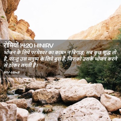 Picture 02 - रोमियों 14:20 HINIRV - भोजन के लिये - Bible Verse Picture
