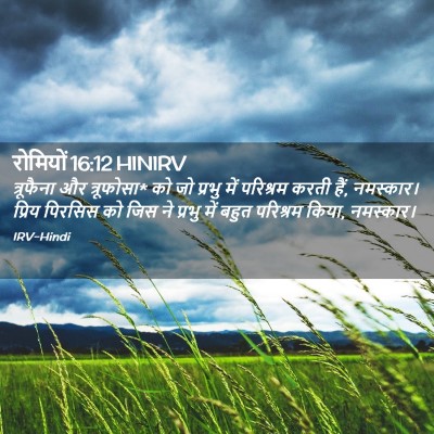 Picture 02 - रोमियों 16:12 HINIRV - त्रूफैना और - Bible Verse Picture