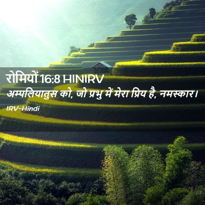 Picture 02 - रोमियों 16:8 HINIRV - अम्पलियातुस को, जो - Bible Verse Picture