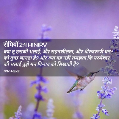 Picture 02 - रोमियों 2:4 HINIRV - क्या तू उसकी भलाई, - Bible Verse Picture