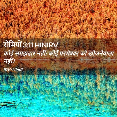 Picture 02 - रोमियों 3:11 HINIRV - कोई समझदार नहीं; - Bible Verse Picture