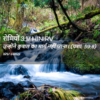 Picture 02 - रोमियों 3:17 HINIRV - उन्होंने कुशल का - Bible Verse Picture