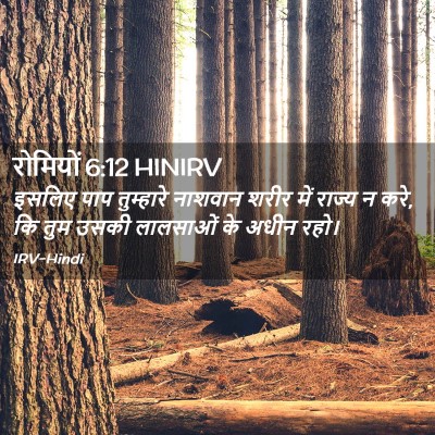 Picture 02 - रोमियों 6:12 HINIRV - इसलिए पाप - Bible Verse Picture