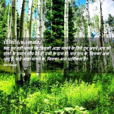 Picture 02 - रोमियों 6:16 HINIRV - क्या तुम नहीं - Bible Verse Picture