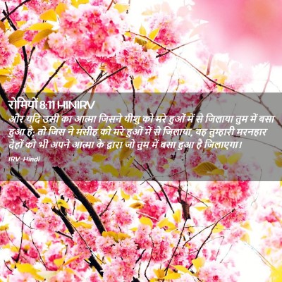 Picture 02 - रोमियों 8:11 HINIRV - और यदि उसी का आत्मा - Bible Verse Picture