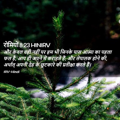 Picture 02 - रोमियों 8:23 HINIRV - और केवल वही नहीं पर - Bible Verse Picture