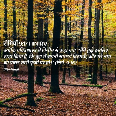 Picture 02 - रोमियों 9:17 HINIRV - क्योंकि - Bible Verse Picture
