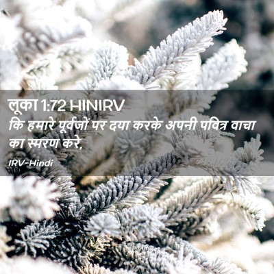 Picture 02 - लूका 1:72 HINIRV - कि हमारे पूर्वजों - Bible Verse Picture