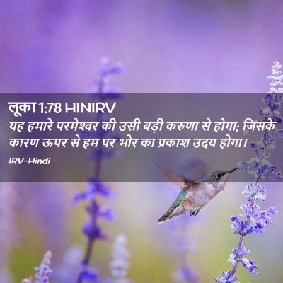 Picture 02 - लूका 1:78 HINIRV - यह हमारे - Bible Verse Picture