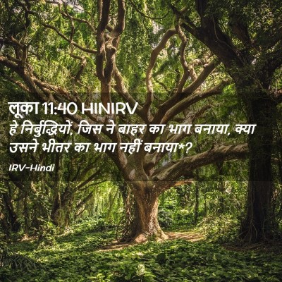 Picture 02 - लूका 11:40 HINIRV - हे निर्बुद्धियों, - Bible Verse Picture