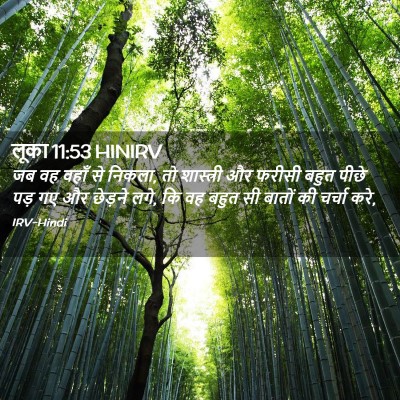 Picture 02 - लूका 11:53 HINIRV - जब वह वहाँ से - Bible Verse Picture