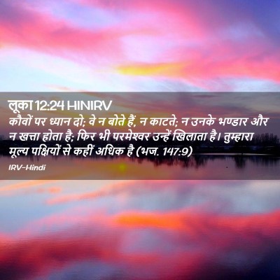 Picture 02 - लूका 12:24 HINIRV - कौवों पर ध्यान दो; - Bible Verse Picture