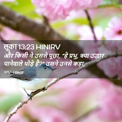 Picture 02 - लूका 13:23 HINIRV - और किसी ने उससे - Bible Verse Picture