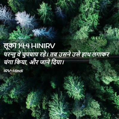 Picture 02 - लूका 14:4 HINIRV - परन्तु वे चुपचाप - Bible Verse Picture