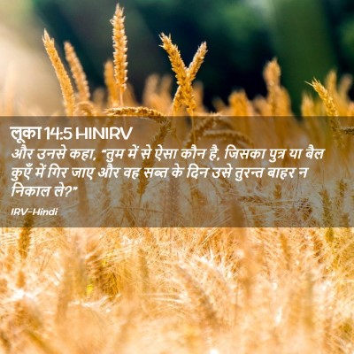 Picture 02 - लूका 14:5 HINIRV - और उनसे कहा, “तुम - Bible Verse Picture