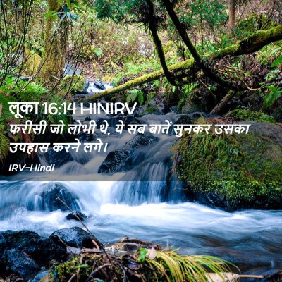 Picture 02 - लूका 16:14 HINIRV - फरीसी जो लोभी थे, - Bible Verse Picture