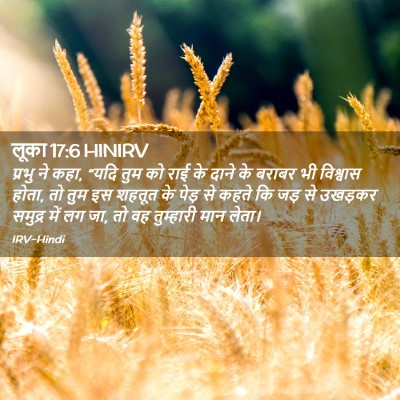 Picture 02 - लूका 17:6 HINIRV - प्रभु ने कहा, “यदि - Bible Verse Picture