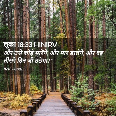 Picture 02 - लूका 18:33 HINIRV - और उसे कोड़े - Bible Verse Picture
