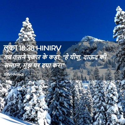 Picture 02 - लूका 18:38 HINIRV - तब उसने पुकार के - Bible Verse Picture