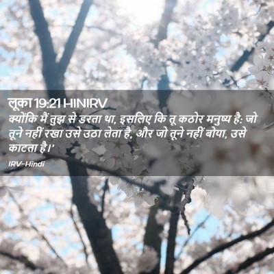 Picture 02 - लूका 19:21 HINIRV - क्योंकि मैं तुझ से - Bible Verse Picture