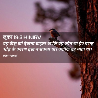 Picture 02 - लूका 19:3 HINIRV - वह यीशु को देखना - Bible Verse Picture