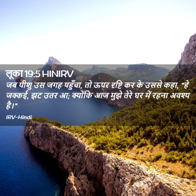 Picture 02 - लूका 19:5 HINIRV - जब यीशु उस जगह - Bible Verse Picture