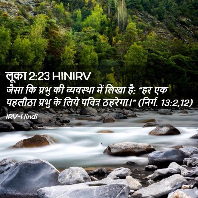 Picture 02 - लूका 2:23 HINIRV - जैसा कि प्रभु की - Bible Verse Picture