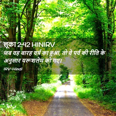 Picture 02 - लूका 2:42 HINIRV - जब वह बारह वर्ष का - Bible Verse Picture