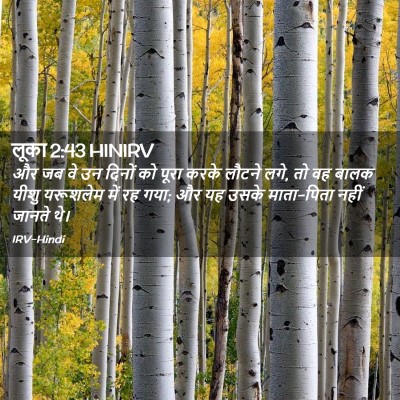 Picture 02 - लूका 2:43 HINIRV - और जब वे उन दिनों - Bible Verse Picture