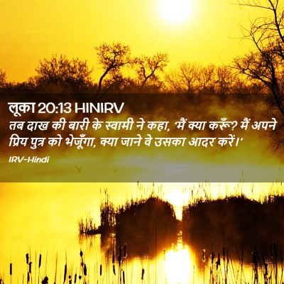 Picture 02 - लूका 20:13 HINIRV - तब दाख की बारी के - Bible Verse Picture